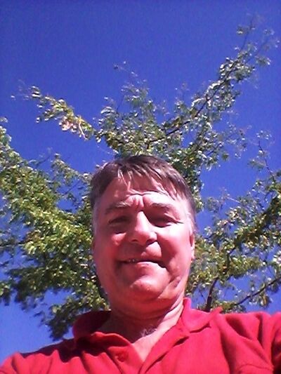  ,   Herbstrose, 64 ,   ,   , c 
