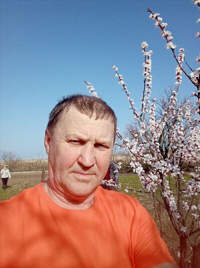  ,   , 63 ,   ,   