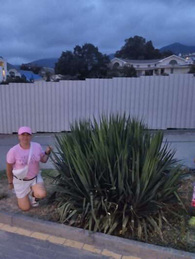  ,   , 41 ,   ,   