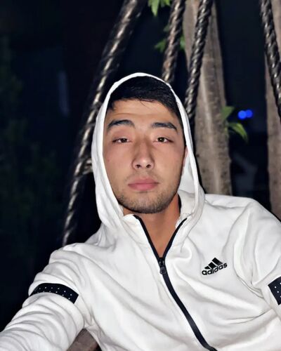  -,   , 28 ,   ,   , c 