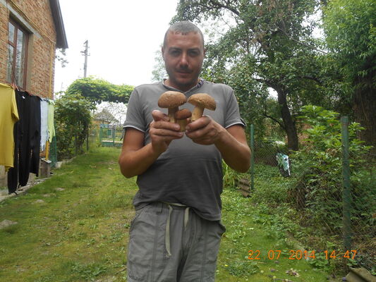 ,   Pavlo, 39 ,   