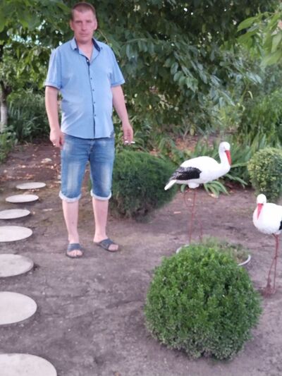  ,   , 40 ,   c 