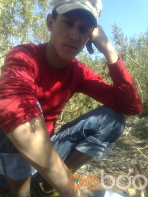  -,   , 36 ,   