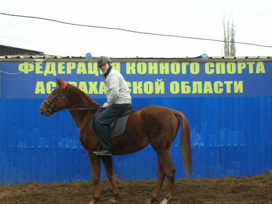  Novy,   , 63 ,   ,   