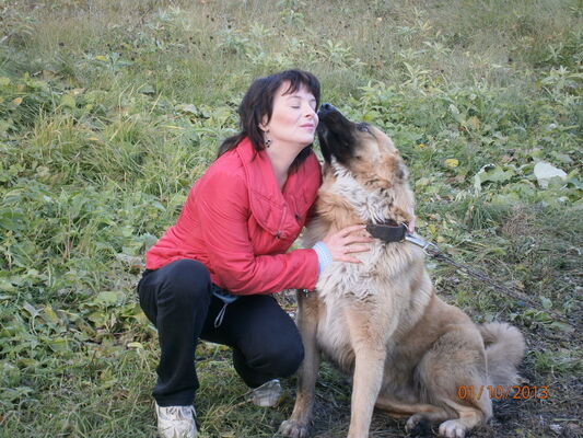  ,   HOLLYWOOD, 41 ,   ,   , c 