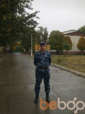  3805878  , 41 ,    
