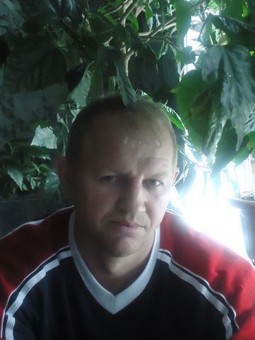  --,   , 53 ,   