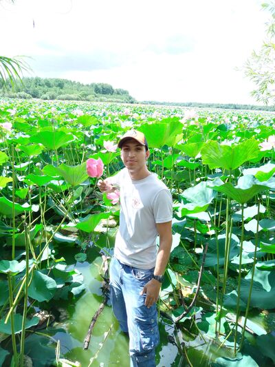  ,   Roman, 33 ,   