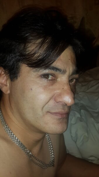  -,   , 53 ,   