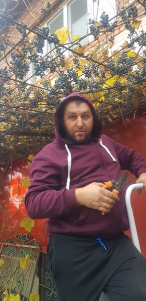  ,   Pasha, 95 ,   ,   