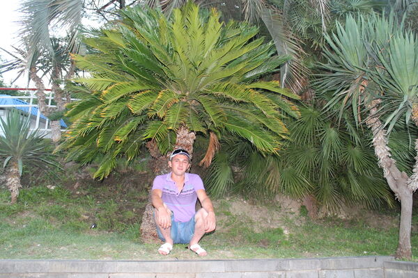  ,   S1, 40 ,  
