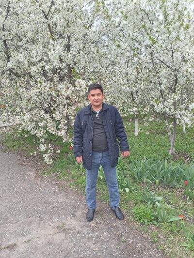  --,   , 43 ,     , c 