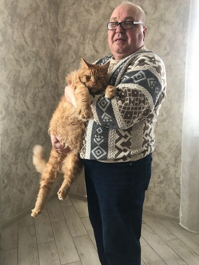  ,   , 66 ,   ,   