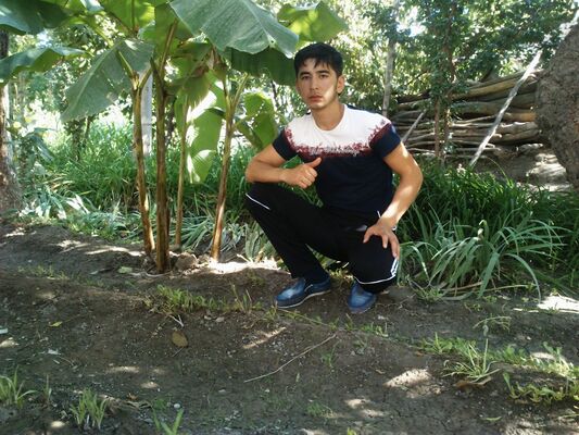  -,   , 31 ,   ,   , c 