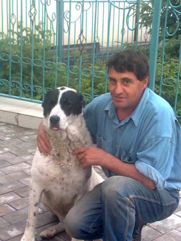  ,   , 56 ,   