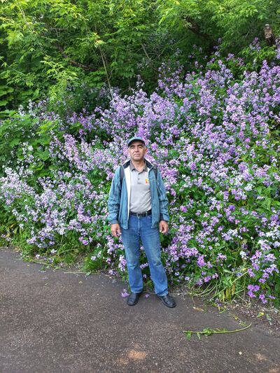  ,   , 52 ,   ,   