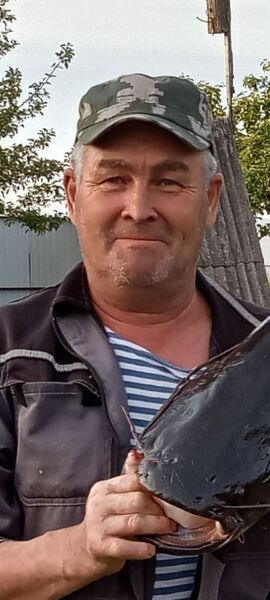  -,   , 50 ,   ,   
