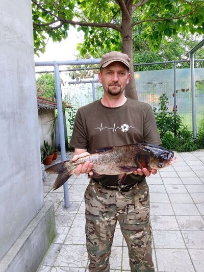  ,   Sergiu, 45 ,   ,   