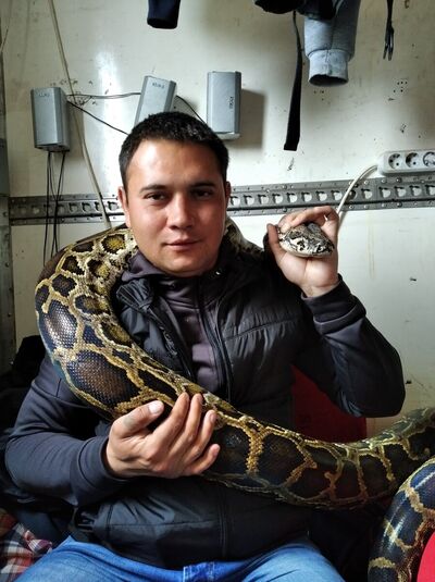  ,   , 37 ,   ,   , c 