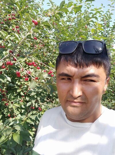  ,   Tolik, 35 ,   ,   