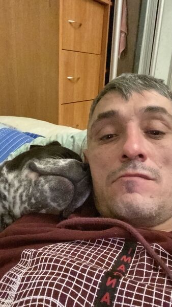  -,   , 42 ,     , c , 