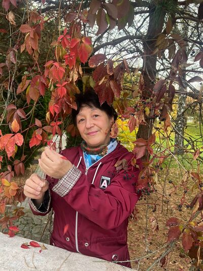  ,   , 63 ,   ,   , c 