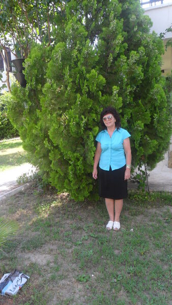  ,   , 68 ,  