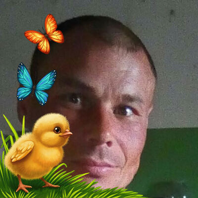  ,   , 44 ,   ,   