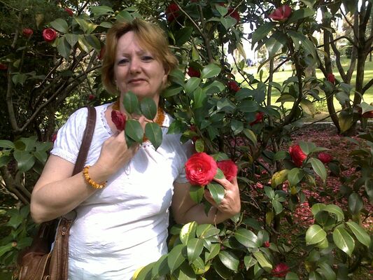  ,   , 62 ,  