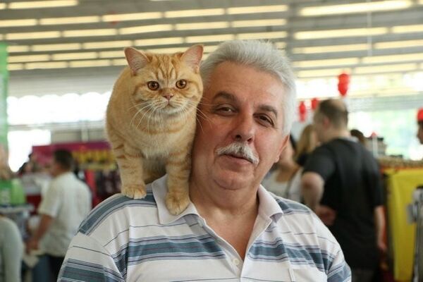  ,   , 67 ,   ,   , c 
