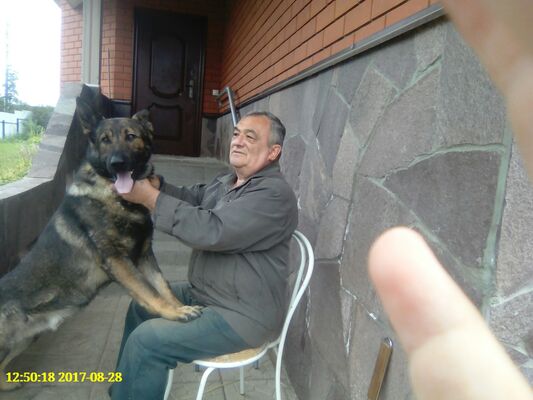  ,   , 75 ,   ,   , 