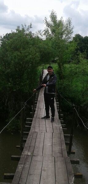  -,   , 37 ,   ,   