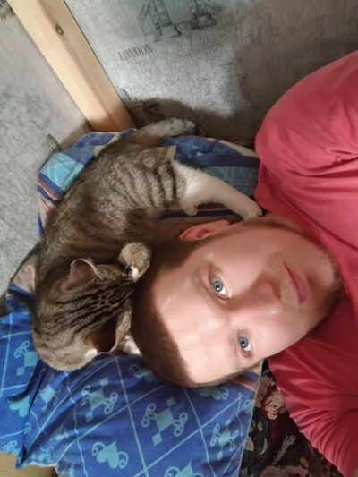  ,   , 41 ,   