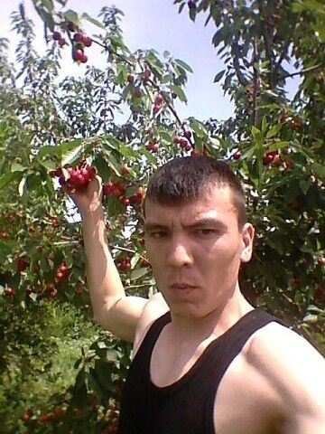  ,   , 34 ,   