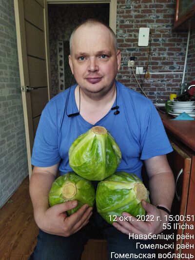  ,   , 44 ,   ,   , c 
