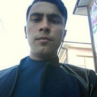  ,   Parmonovorin, 29 ,   ,   , c 