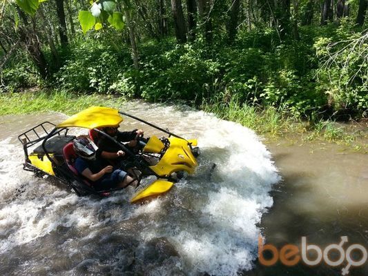  3632248  , 31 ,    -