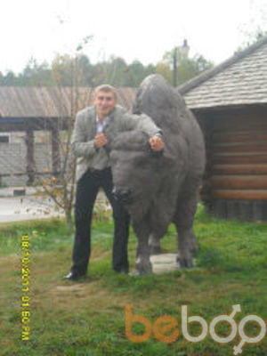  3228208  Vitalik, 41 ,    