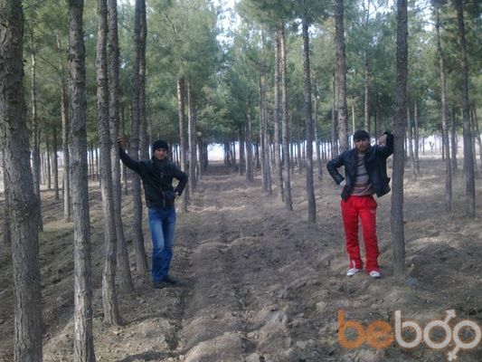 ���������� �������, ���� ������� �������, 37 ���, ������������ ��� ������