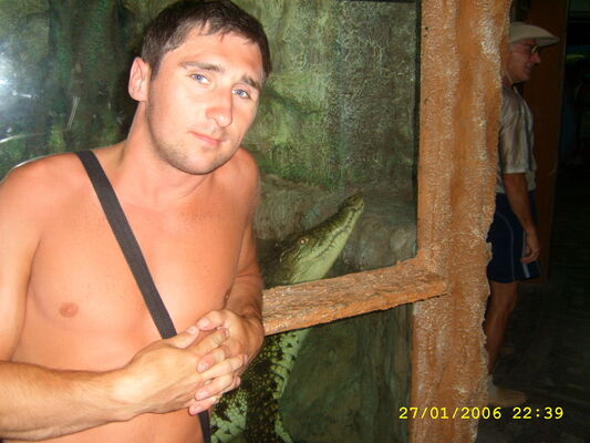 ,   , 41 ,   