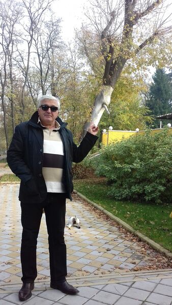  ,   Vladimir, 49 ,   ,   , c 