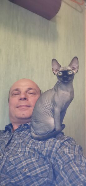  ,   , 51 ,   ,   