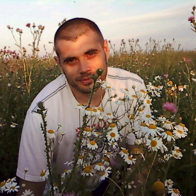   ,   , 46 ,   