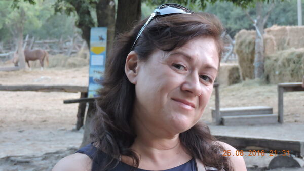  ,   , 55 ,  