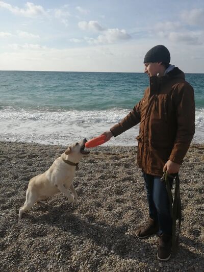  Alhambra,   Alexandr, 34 ,   ,   