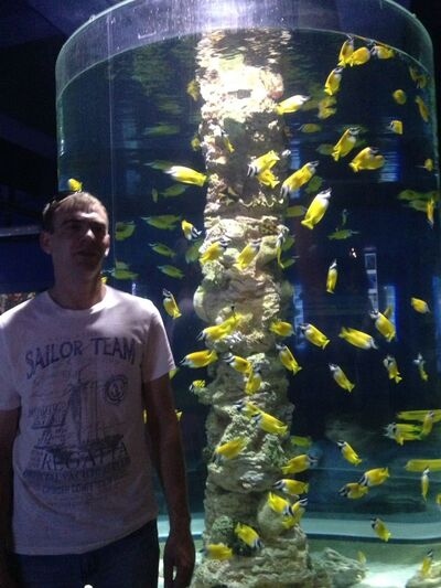  -,   , 41 ,   ,   , c 