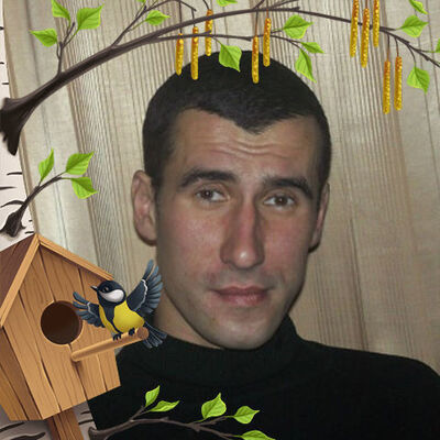  ,   , 41 ,   