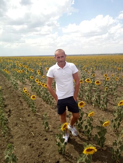  ,   Vasya, 39 ,   ,   , c 
