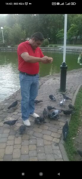  ,   Kras, 52 ,   ,   