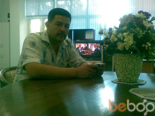  ,   Zafar, 50 ,   